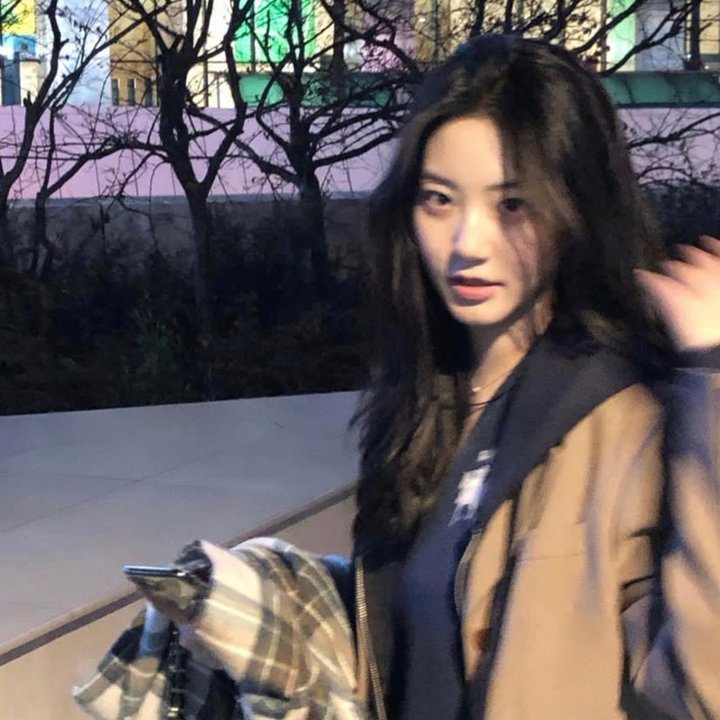 两个人的小森林